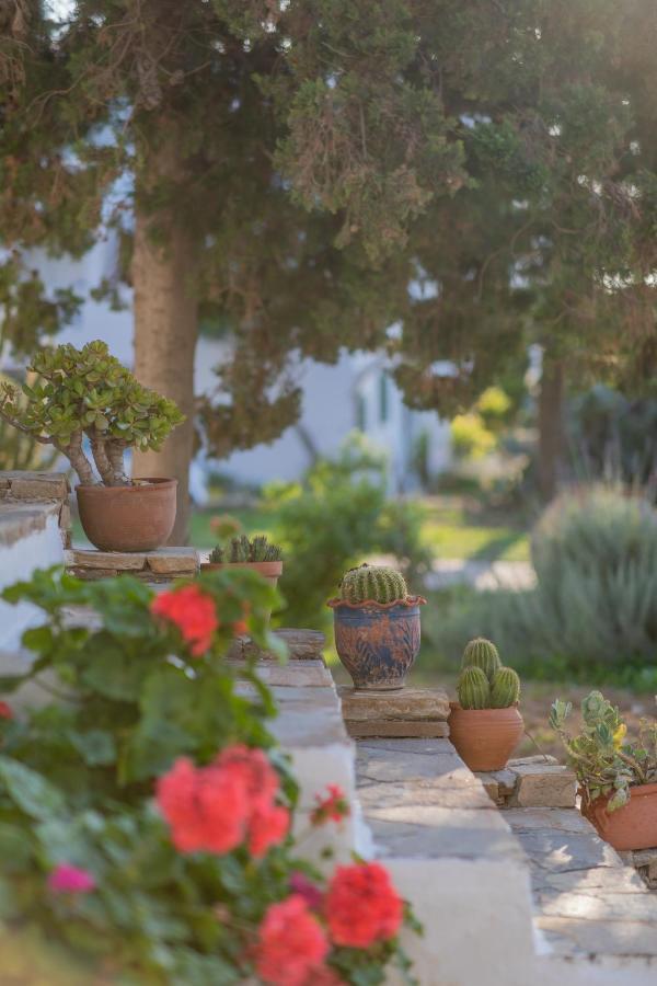 Antonina Hotel Agia Anna  Exteriér fotografie